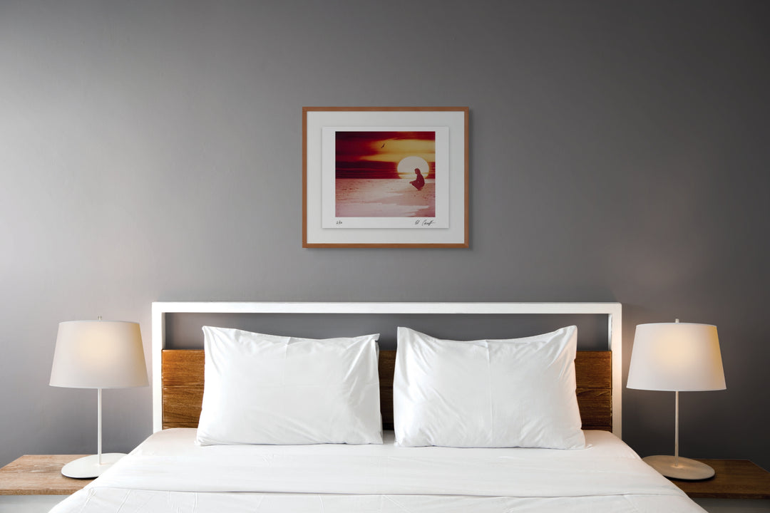 Scale photo of Ed Caraeff's photograph for the cover of Neil Diamond album, Jonathan Livingston Seagull