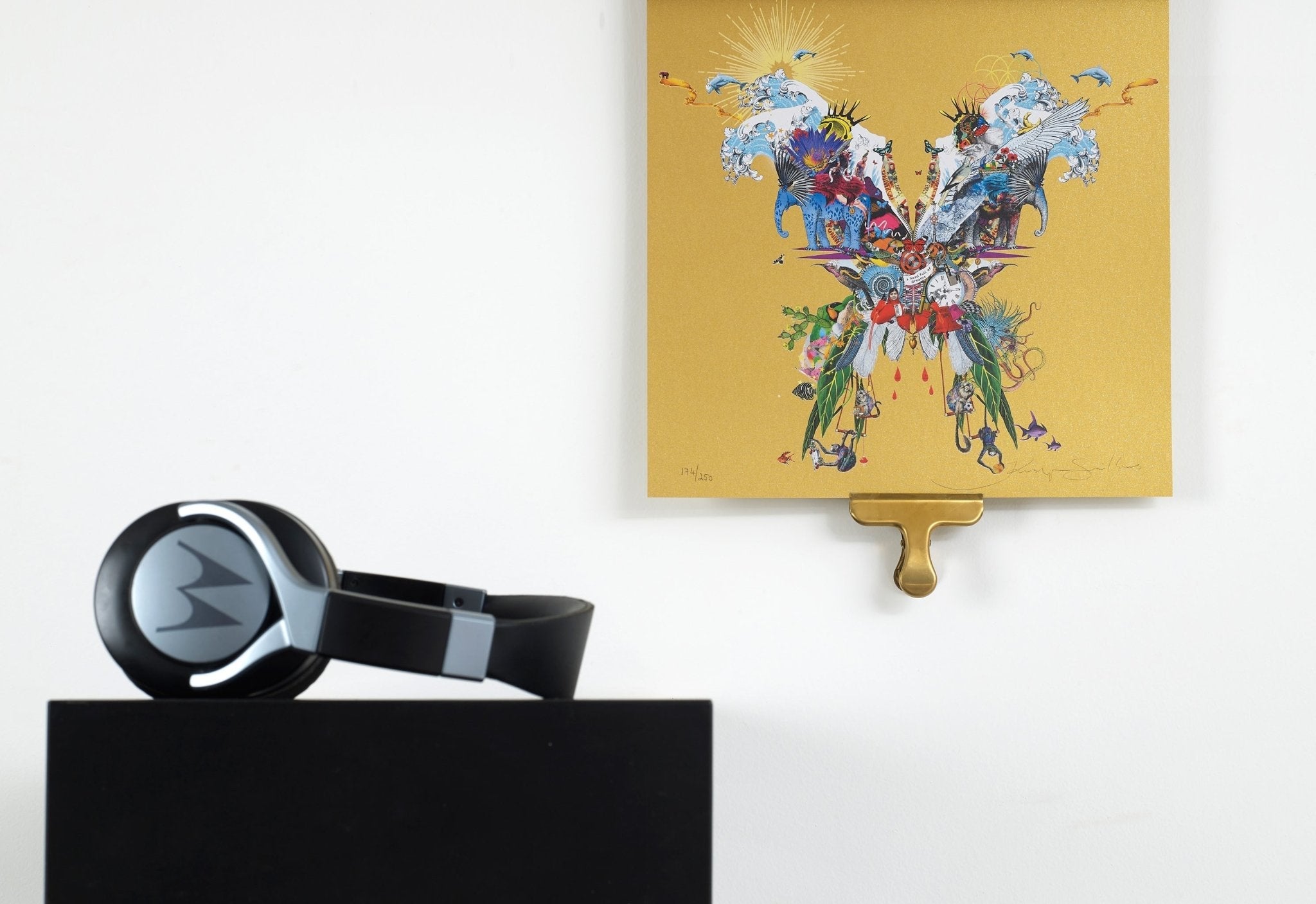 Top 10 Things to Consider When Choosing a Premium Music Streaming Service
