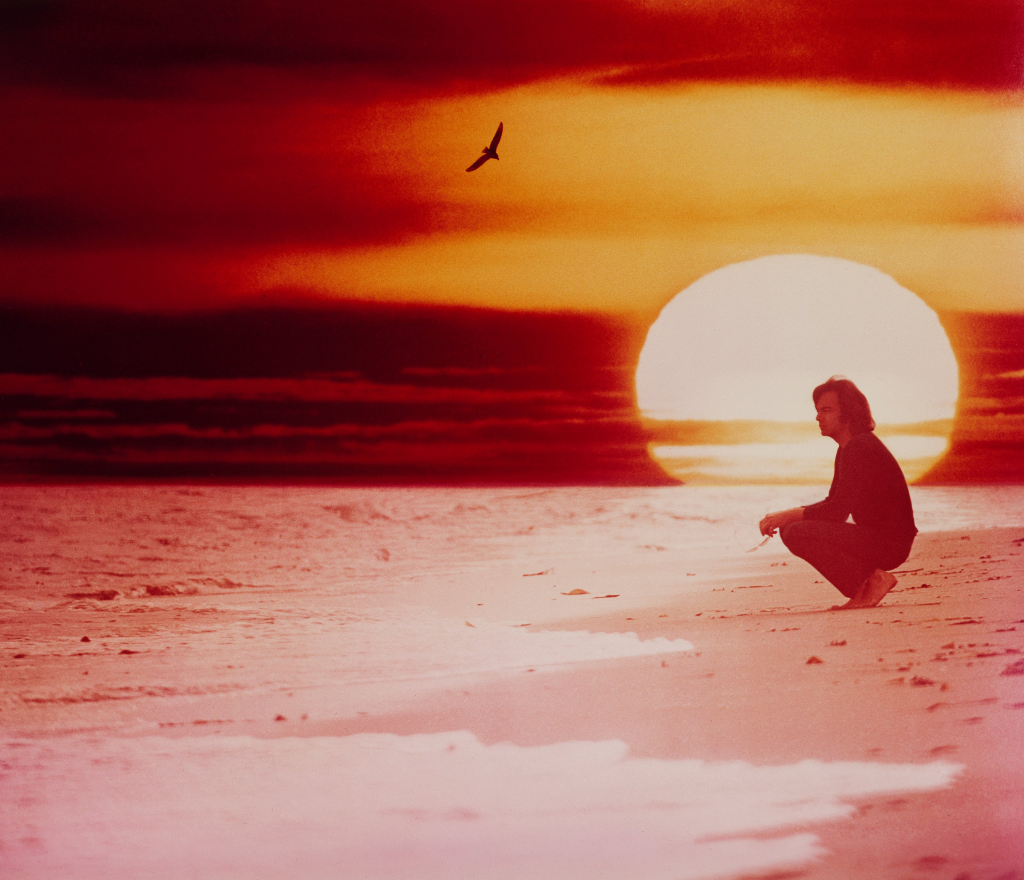 Neil Diamond/Jonathan Livingston Seagull – Hypergallery