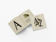 Flat lay photograph of James Marsh artist book Animal Verse A-Z